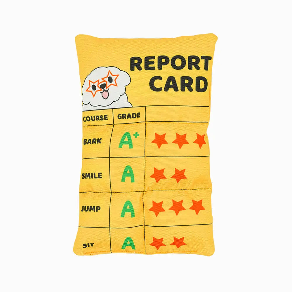 Hugsmart - Pooch Academy Report Card